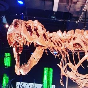 Meet your Posher, Rocio